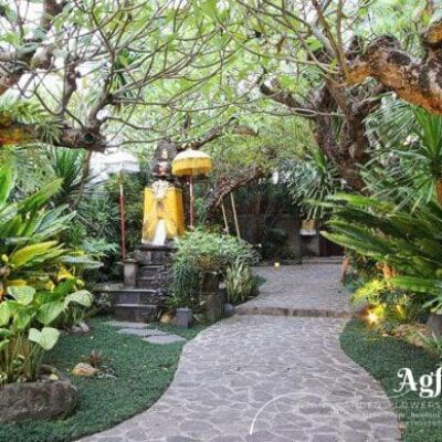 anjani garden flwoer (1) anjani garden flwoer (1)