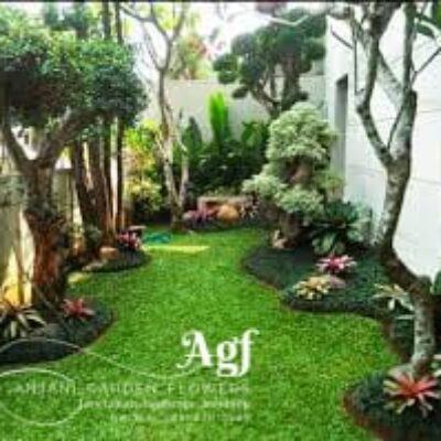 anjani garden flwoer (2) anjani garden flwoer (2)